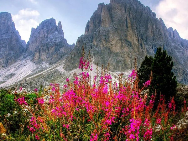 Dolomite Mountains and Cortina Semi Private Day Trip from Venice